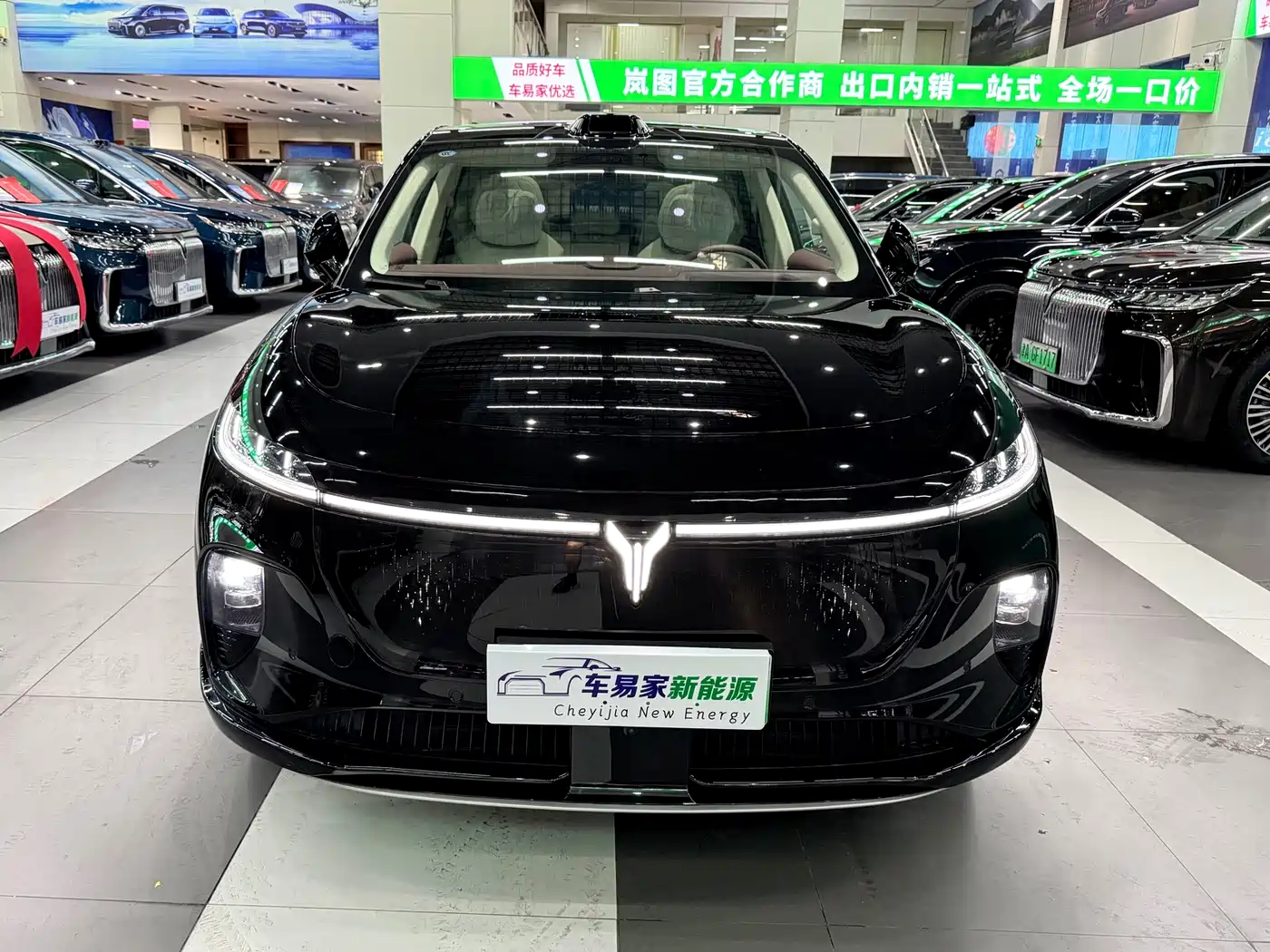 Voyah Auto Voyah Zhiyin 2025 Base фото 7