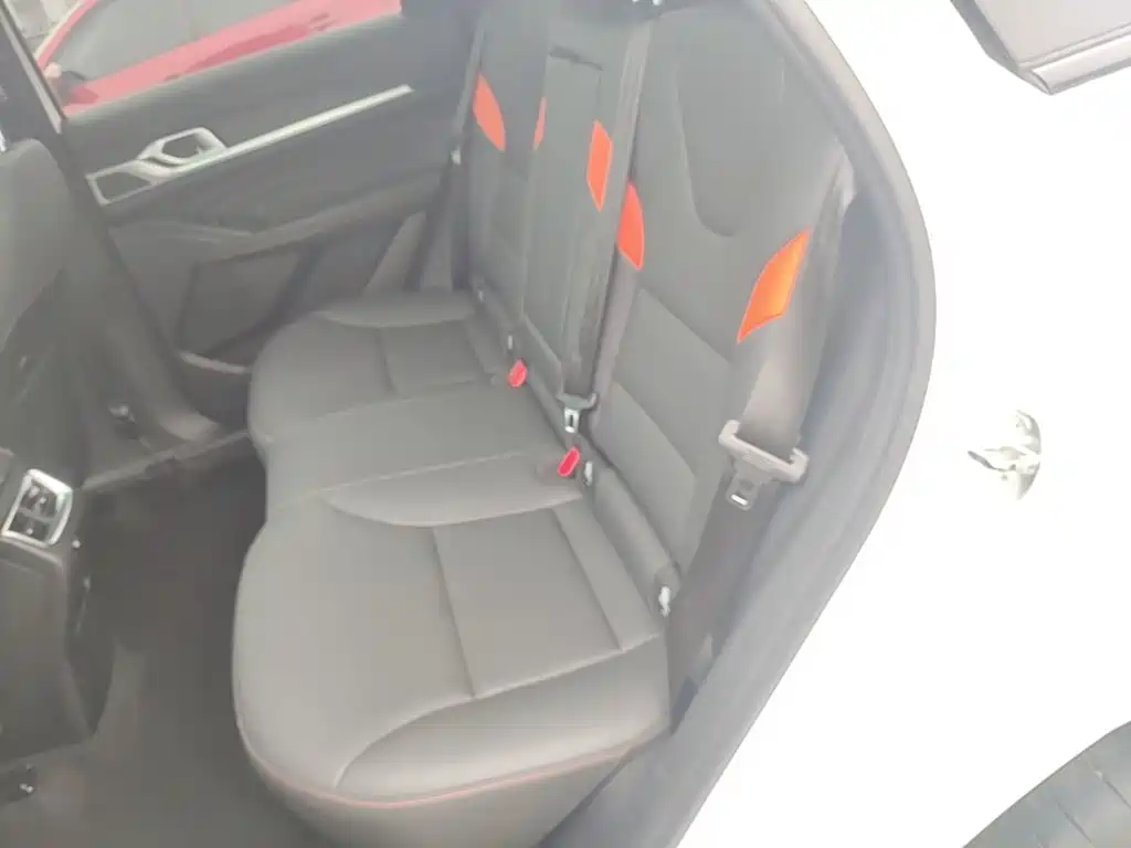 Haval Shenshou 2023 2023 1.5T Smart Enjoy Edition