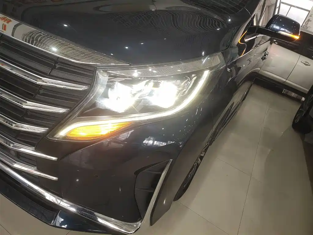 GAC Trumpchi Trumpchi M8 2021 Leading Show Series 390T Prestige Edition фото 18