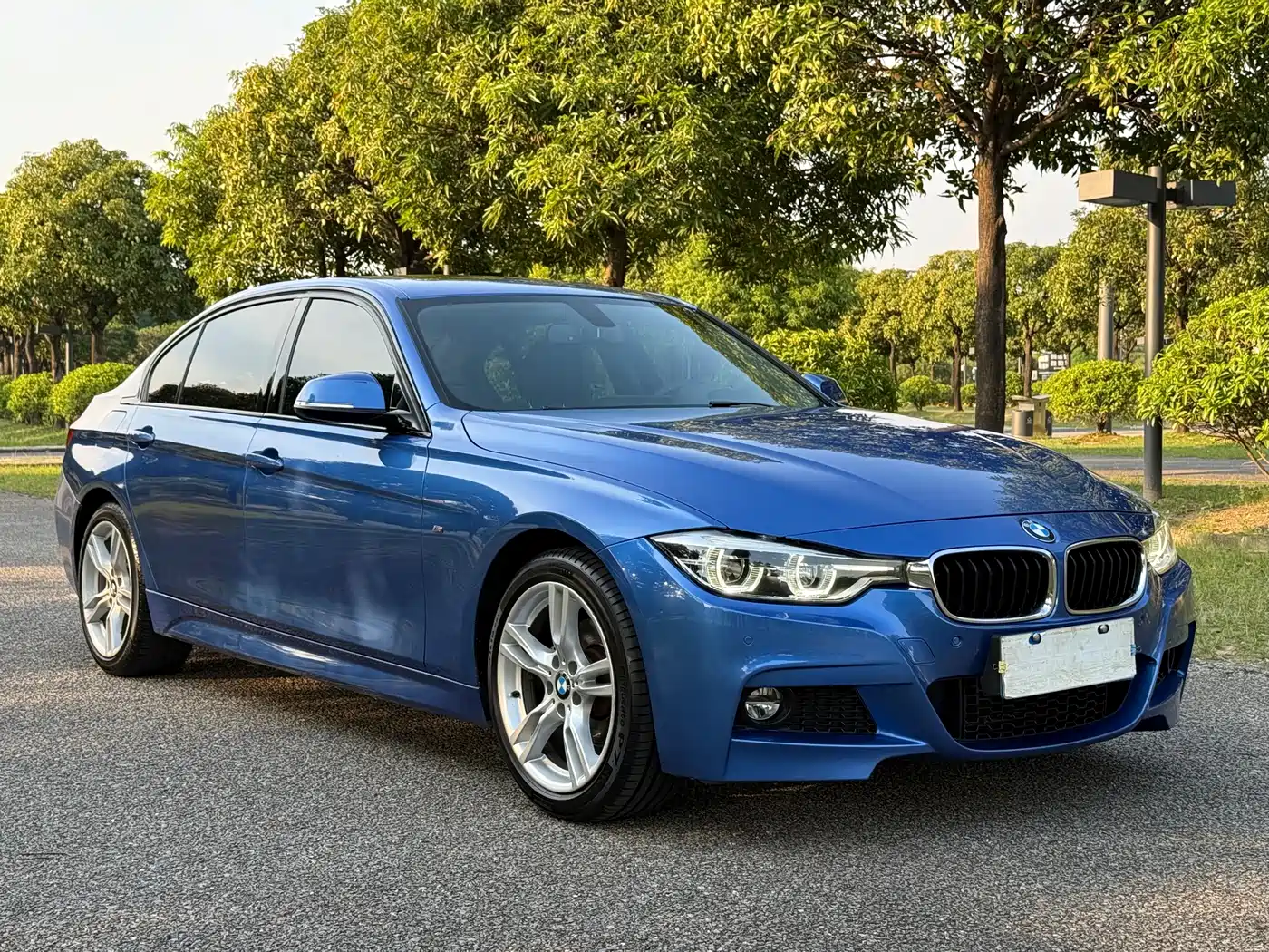 BMW 3 Series 2018 320Li Leading M Sport Package фото 3