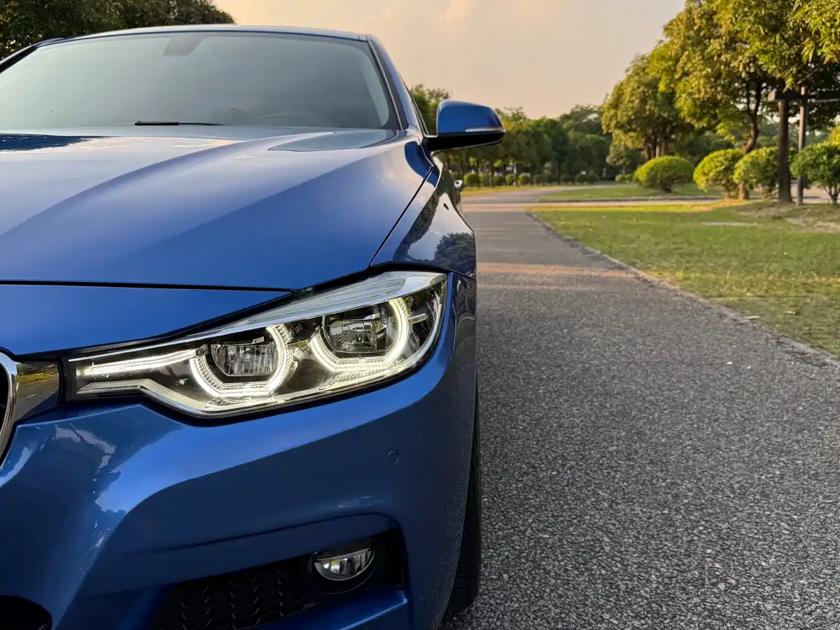BMW 3 Series 2018 320Li Leading M Sport Package фото 19