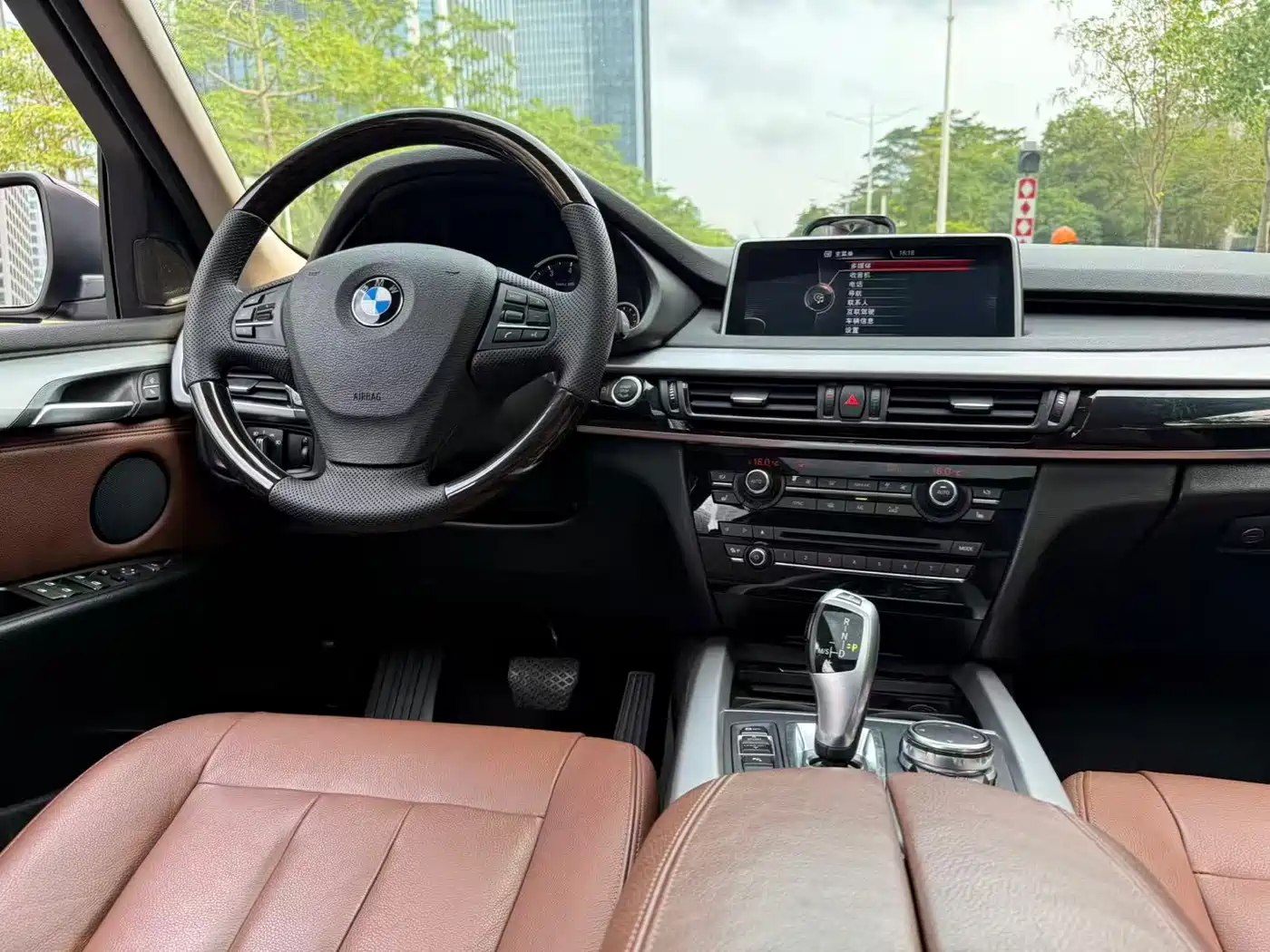 BMW X5 (Import) 2017 xDrive35i Leading Edition фото 7