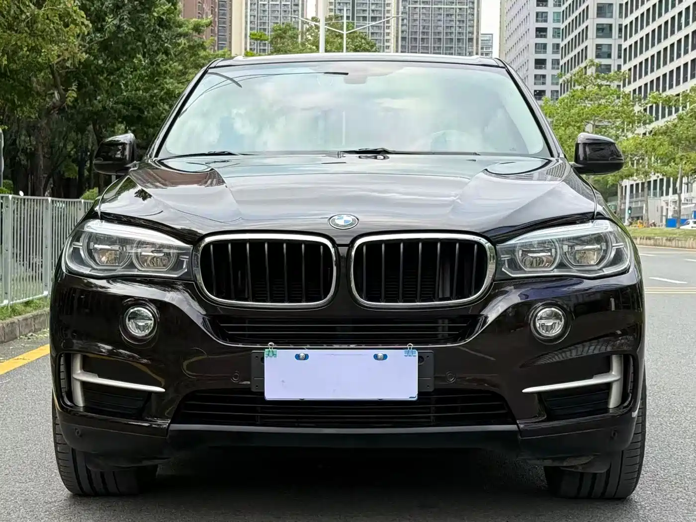 BMW X5 (Import) 2017 xDrive35i Leading Edition фото 2
