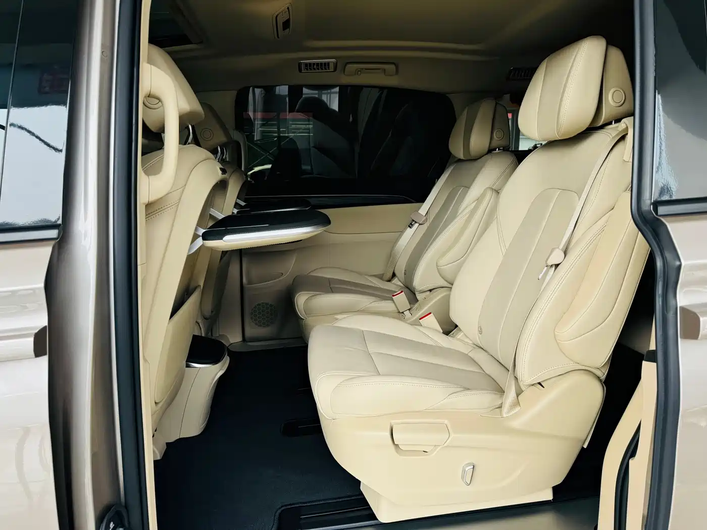 Buick GL8 2023 ES Landmaster Luxury фото 29