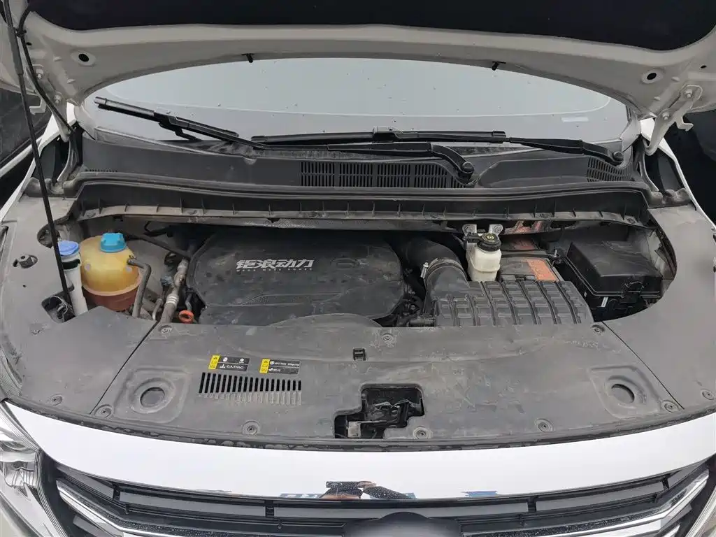 GAC Trumpchi Trumpchi M8 2023 Leading Series 390T Prestige Edition фото 16
