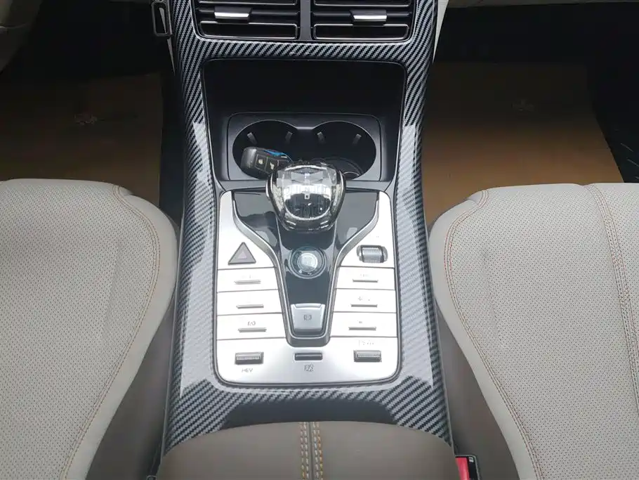 BYD Qin PLUS 2024 Glory Edition DM-i 55KM Leading фото 16