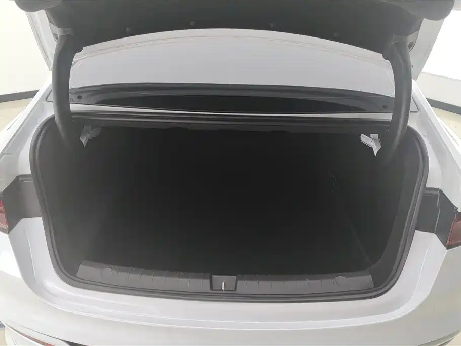 BYD Qin PLUS 2024 Glory Edition DM-i 55KM Leading фото 4