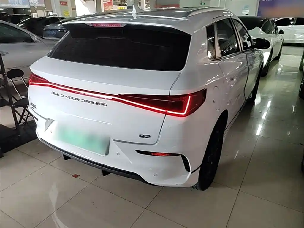 BYD e2 2021 Luxury Edition фото 7