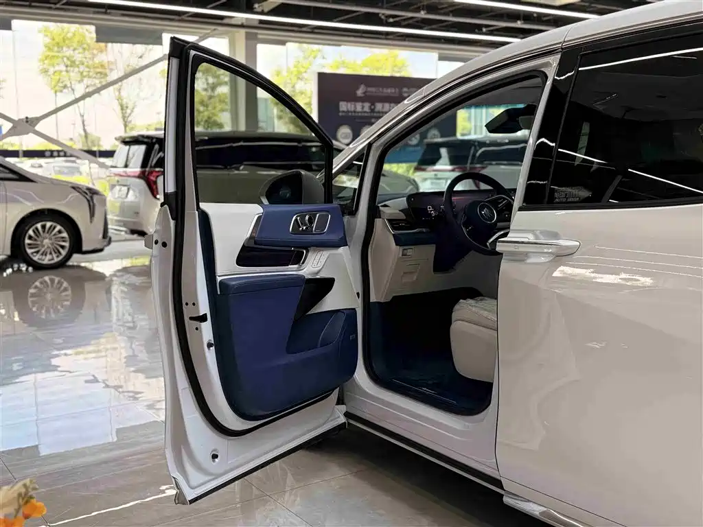 Buick Century 2025 2.0T 7-Seater World Edition фото 6