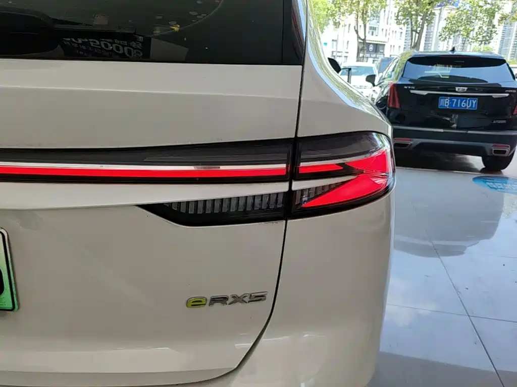 Фото 8 - Roewe RX5 New Energy