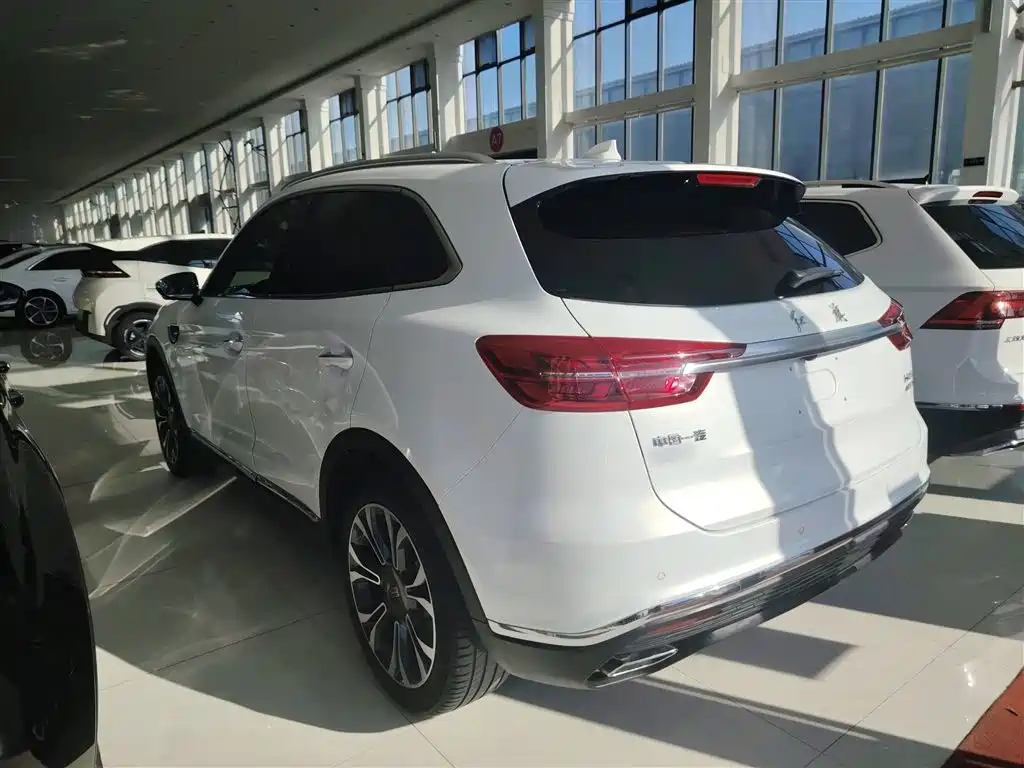Hongqi HS5 2019 2.0T Smart Connect Enjoy 4WD Edition фото 7