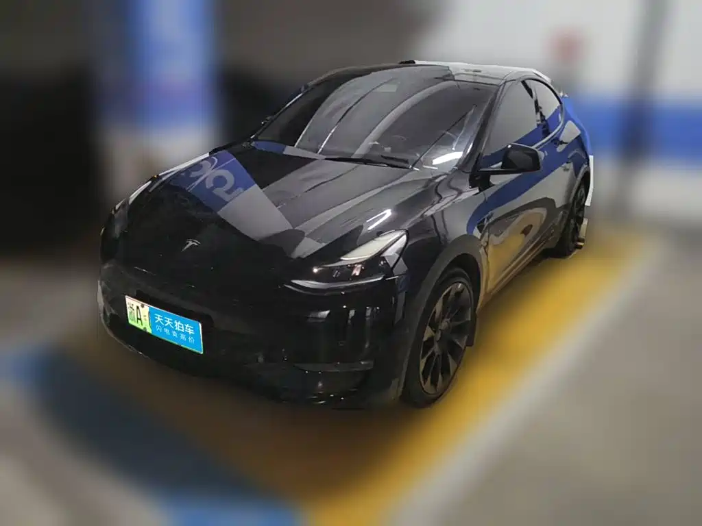 Tesla Model Y 2021
