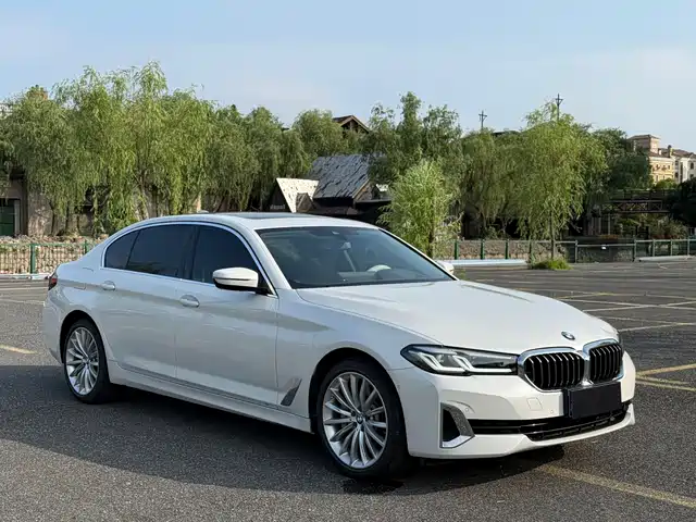 BMW 5 Series 2021 530Li Executive Luxury Package — фото 2