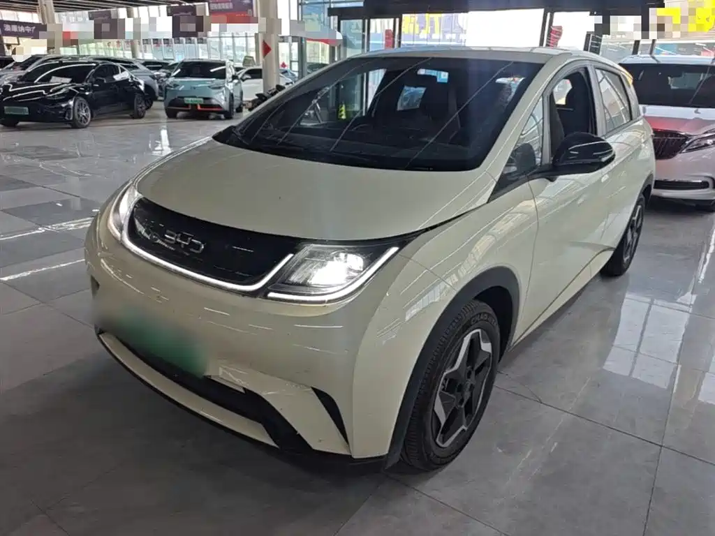 BYD Dolphin 2025 420km Vitality Edition