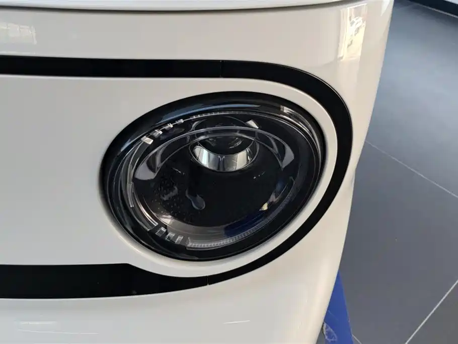 Geely Galaxy Panda 2026 2025 Model Year 210km Panda Kart