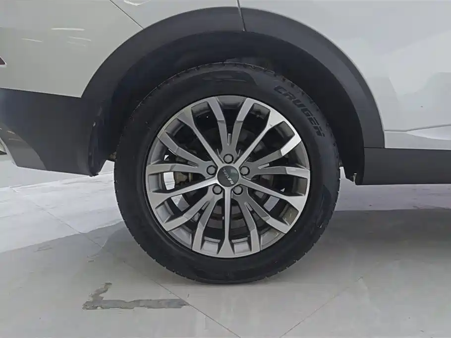 Haval H6 2020 1.5GDIT Automatic Platinum Champion Edition фото 6