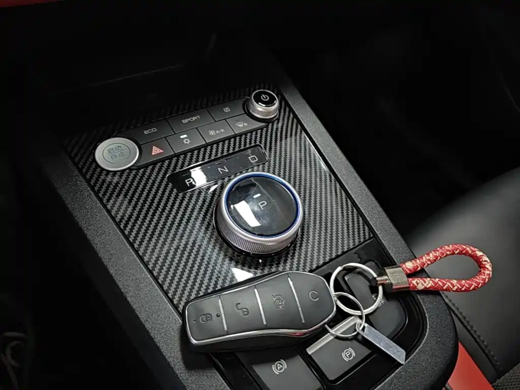 BYD e2 2021 2021 Premium Model