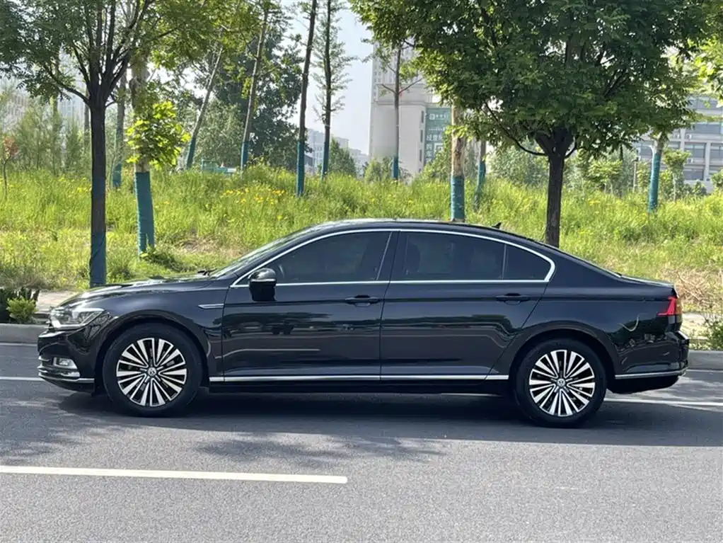 Volkswagen Magotan 2019 330TSI DSG Luxury China V фото 12