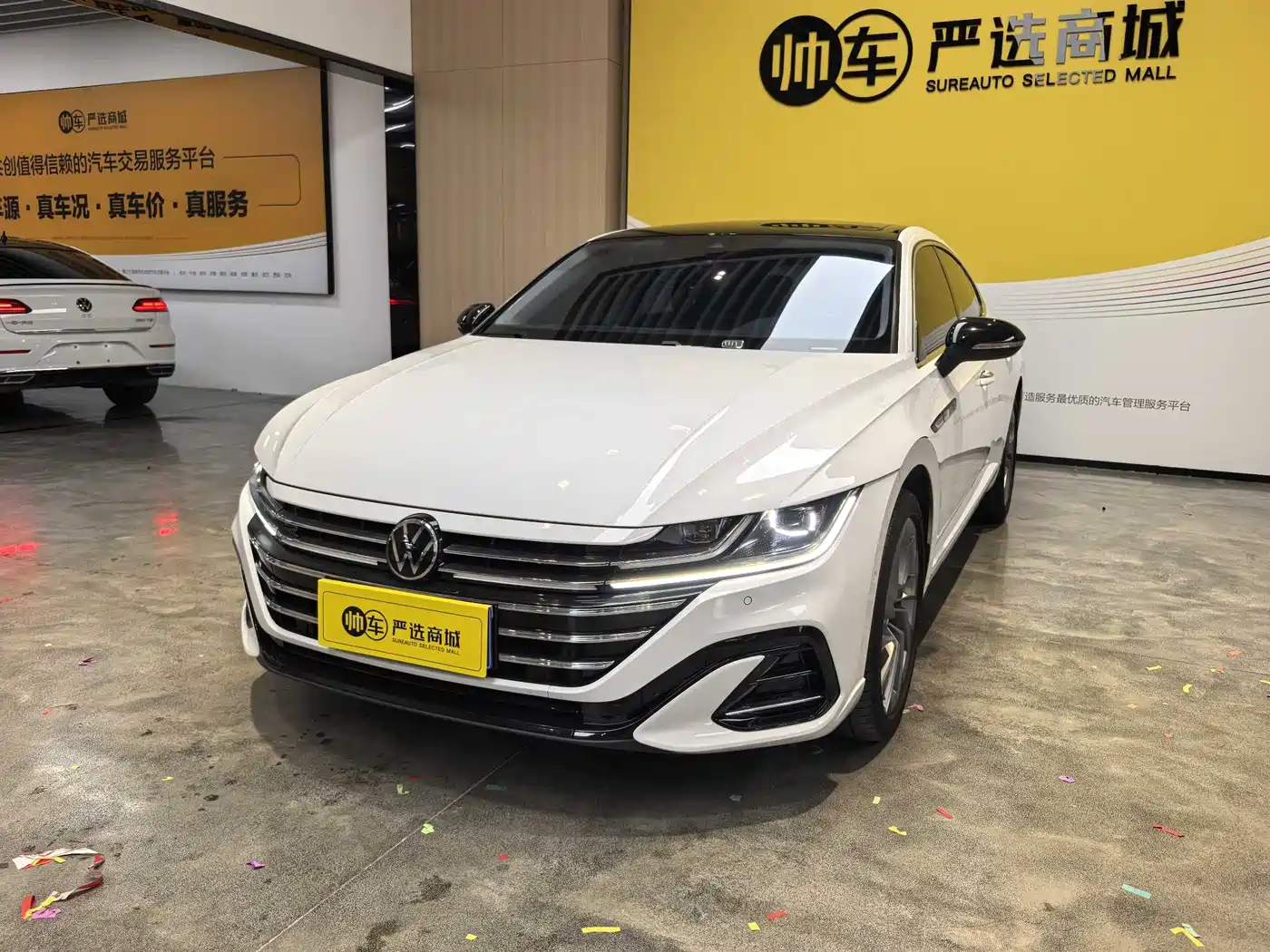 VOLKSWAGEN FAW-CC