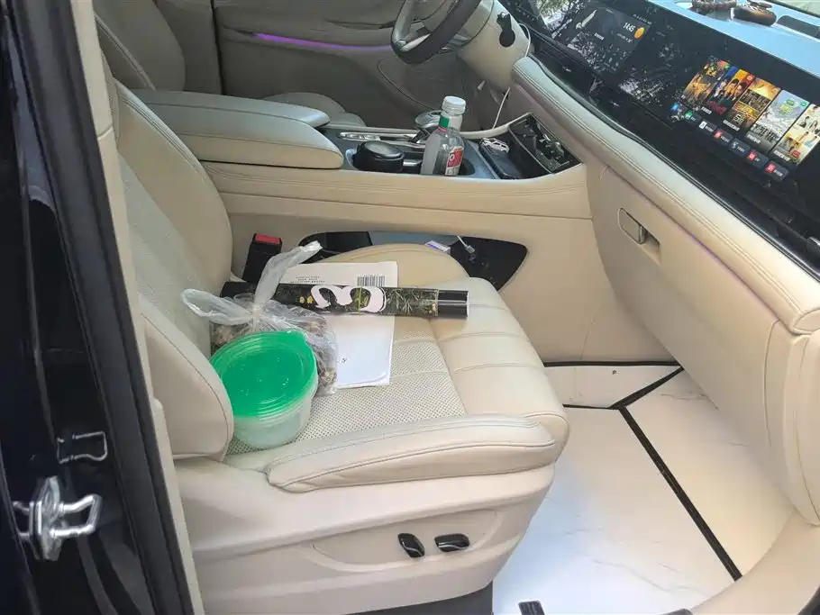 Voyah Auto Voyah Dreamer 2022 Low Carbon Edition Home фото 8