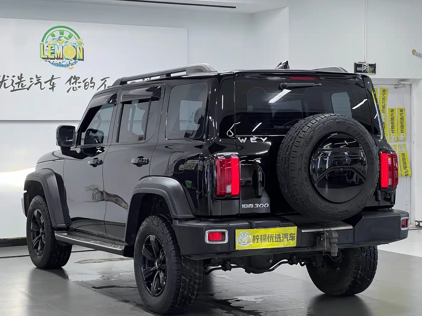 Tank 300 2021 2021 Off-road Version 2.0T Conqueror