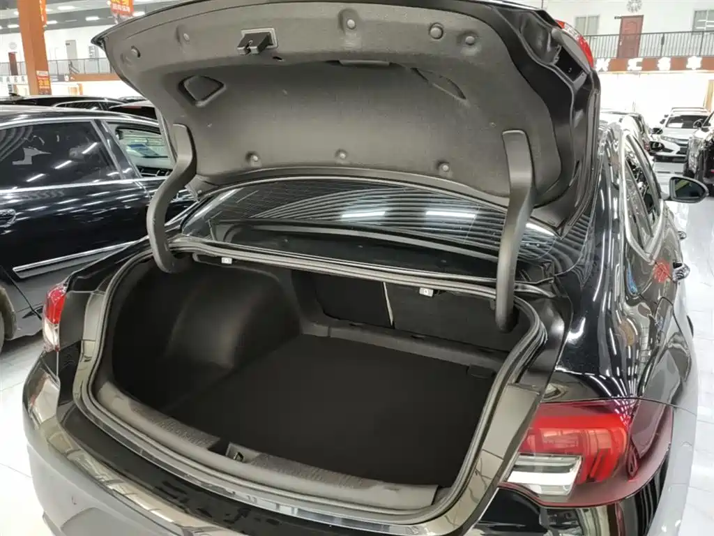 Buick Regal 2020 552T Elite фото 19