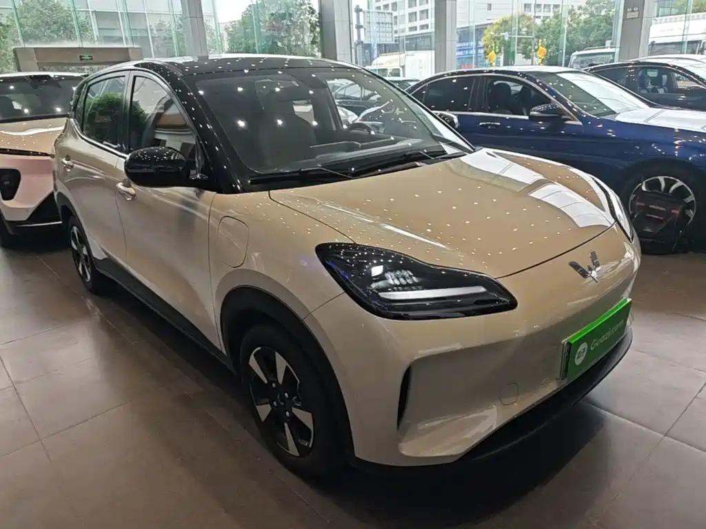 Wuling Motors Wuling Binguo PLUS 2024 2024 Model 330km 5-Seater