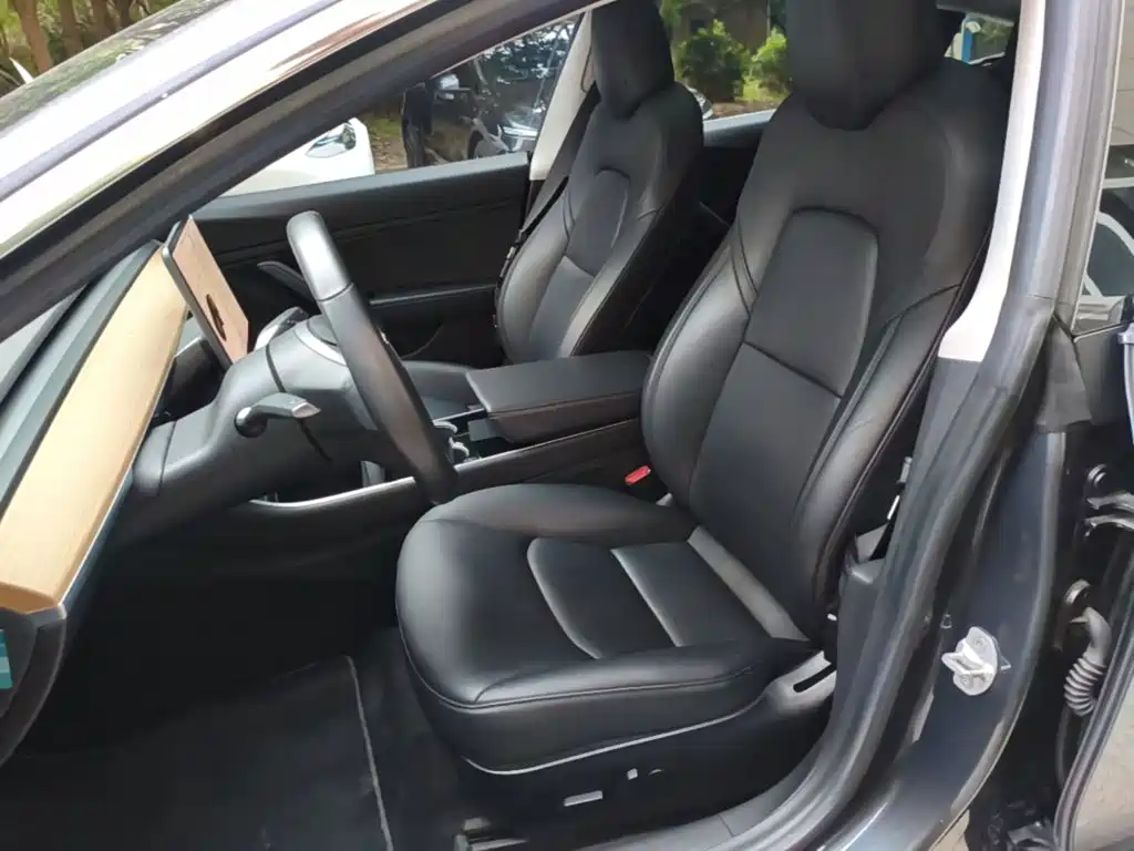Tesla Model 3 (Import) 2019 2019 Long Range RWD Version