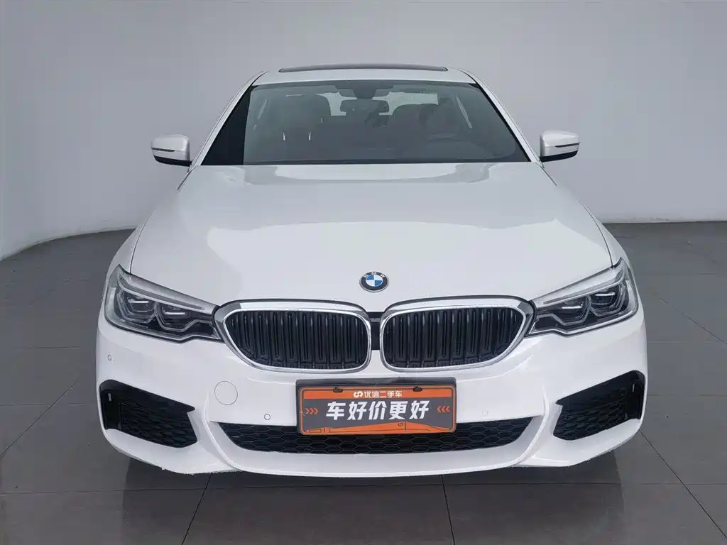 BMW 5 Series 2020 530Li Leading M Sport Package фото 3
