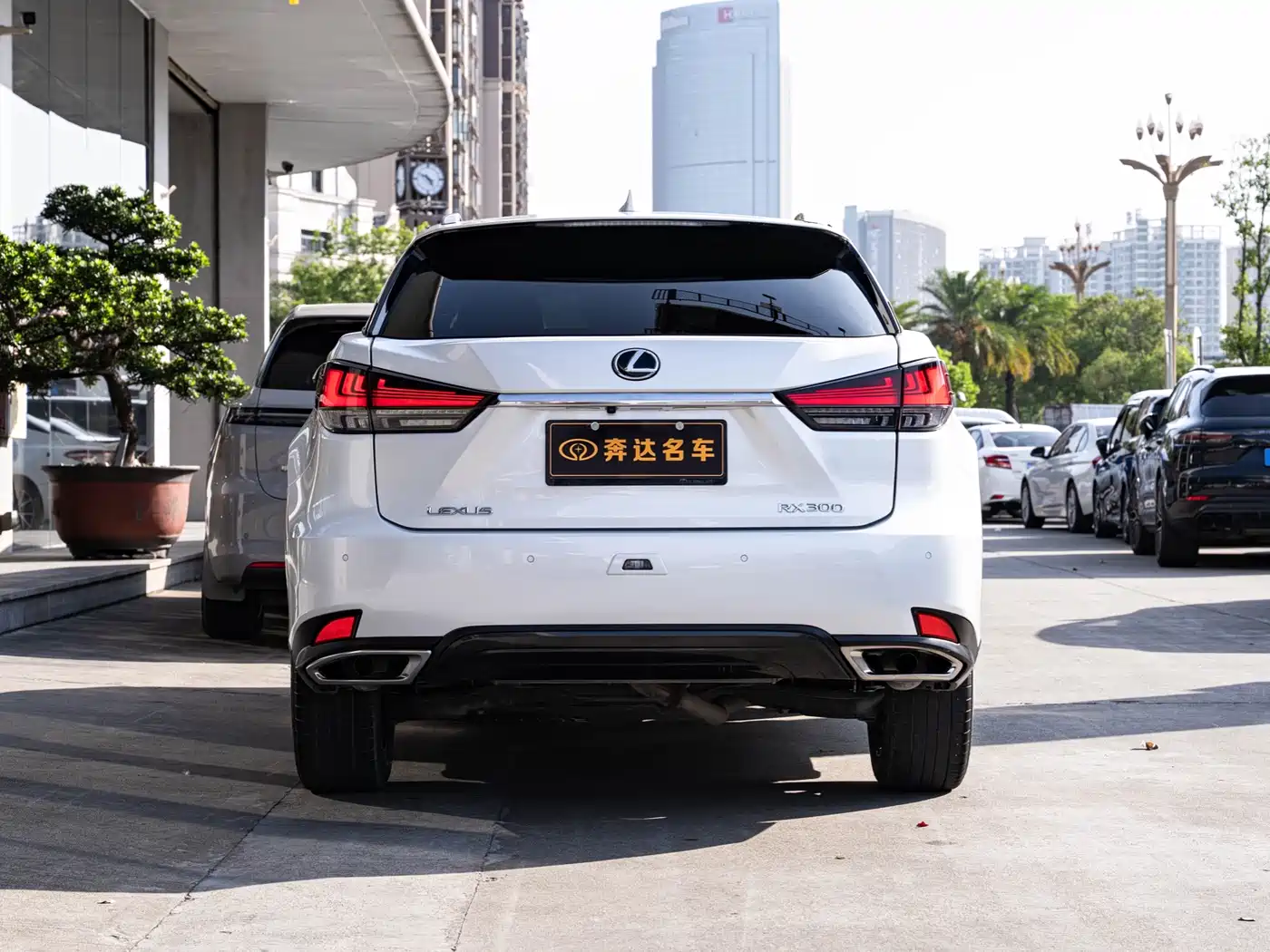 Lexus RX 2021 300 AWD Special Edition фото 5