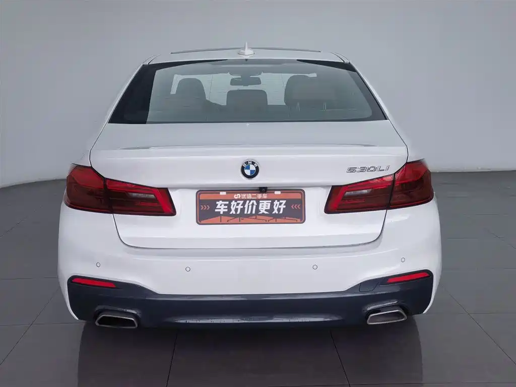 BMW 5 Series 2020 530Li Leading M Sport Package фото 4