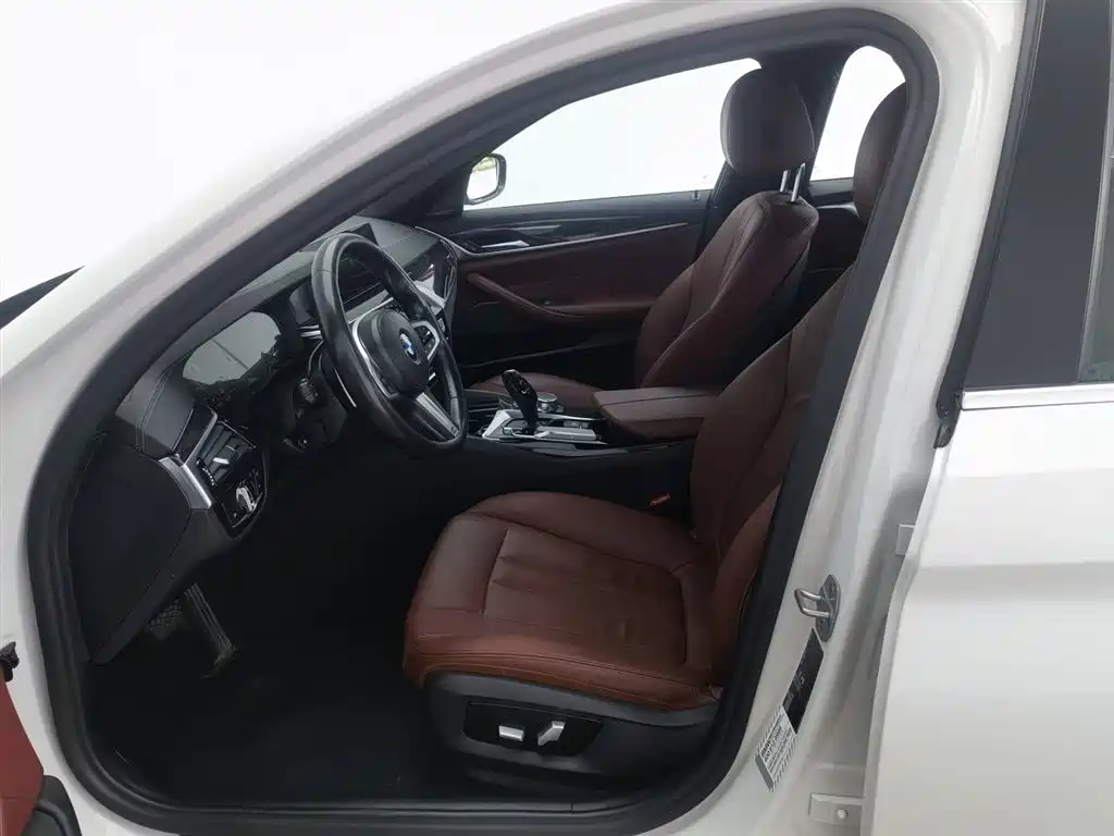 BMW 5 Series 2020 530Li Leading M Sport Package фото 10