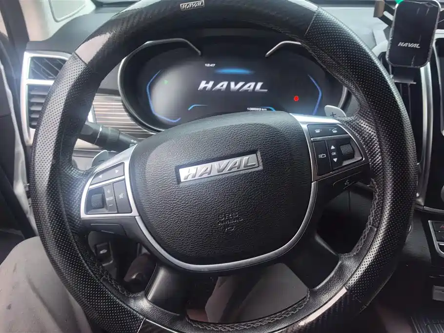 Haval H9 2020 2.0T Gasoline 4WD Premium 5-Seater фото 15