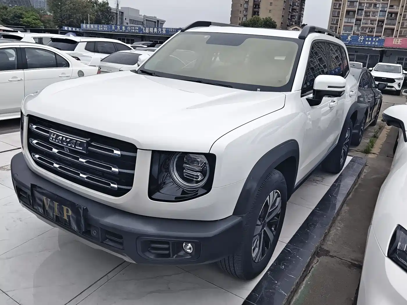 Haval Big Dog 2021 1.5T DCT 2WD Labrador Edition