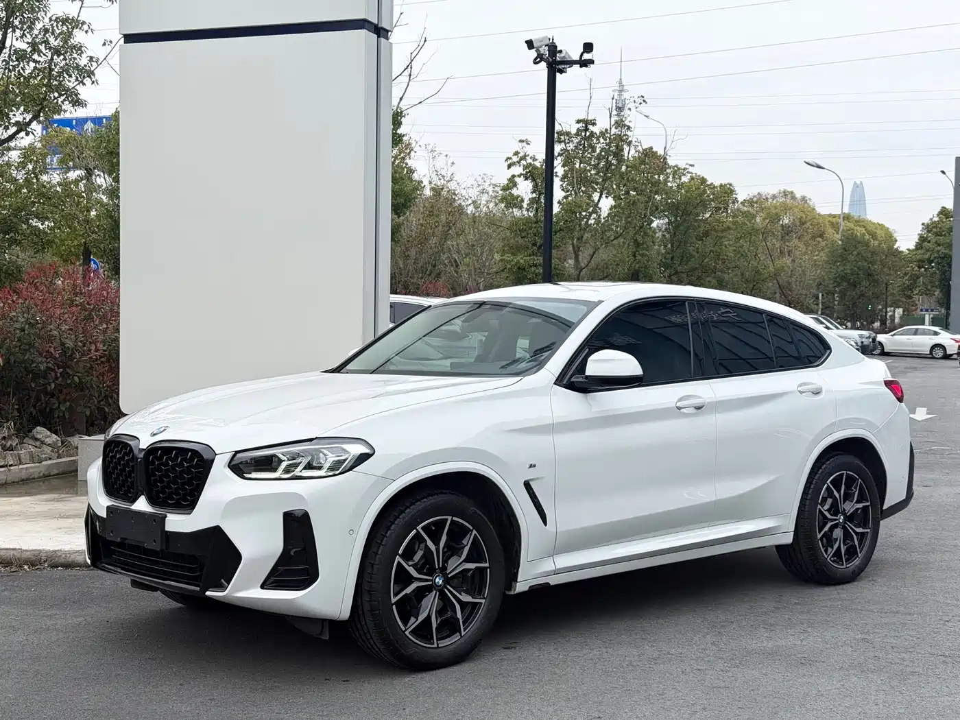 BMW X4 2022 xDrive 25i M Sport Package