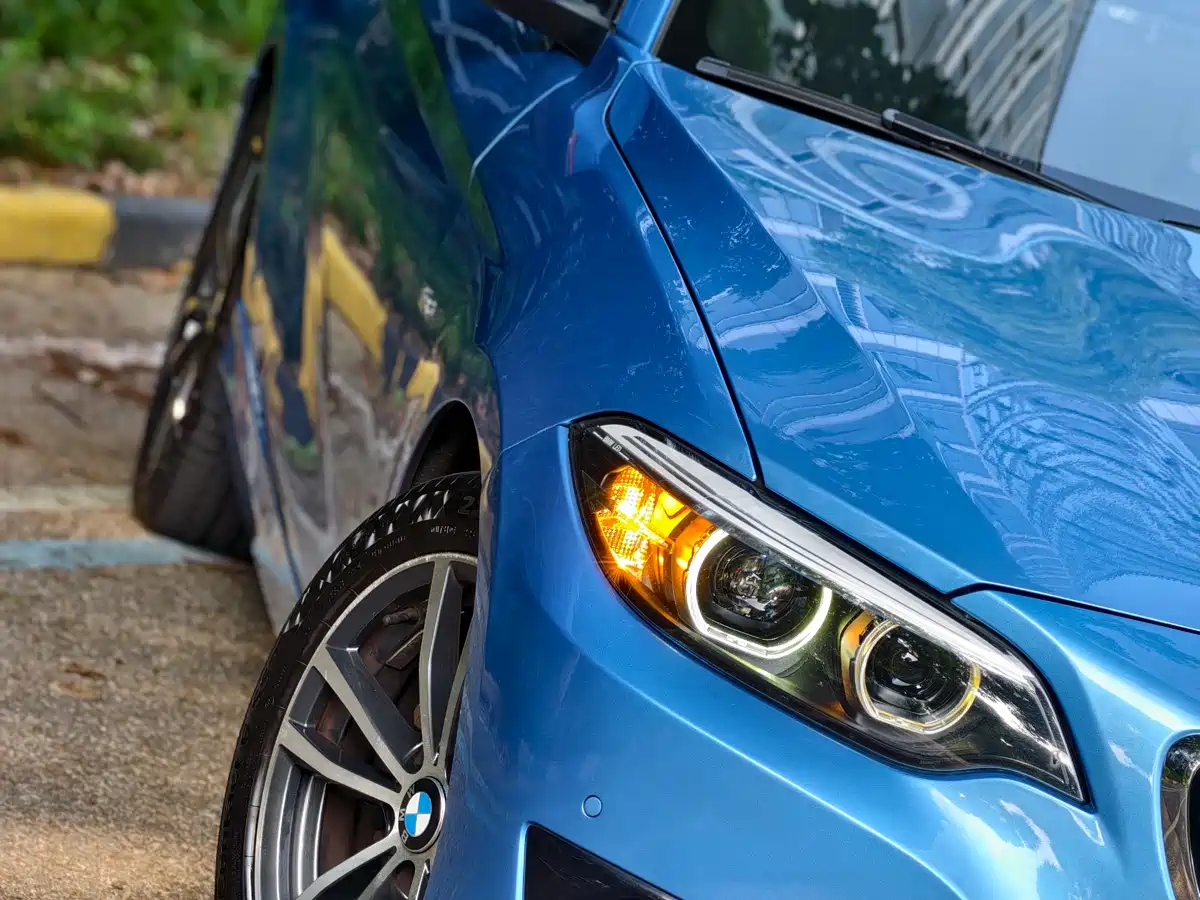 BMW 2 Series (Import) 2018 220i Convertible Coupe Sport Design Package фото 7