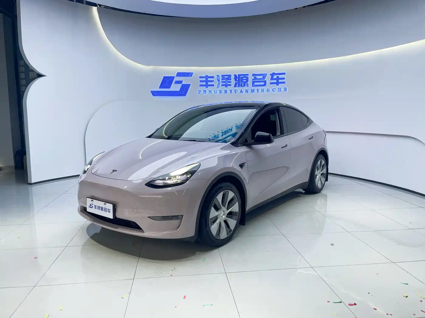 Tesla Model Y 2021 Standard Range Rear-Wheel Drive