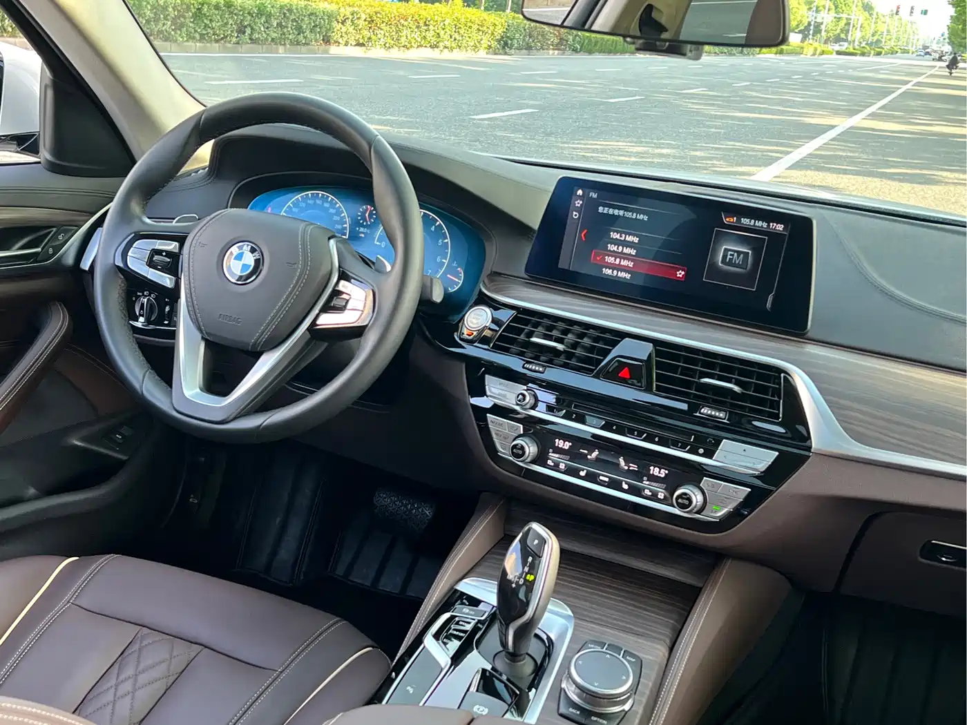 BMW 5 Series 2019 530Li Leading Luxury Package фото 10