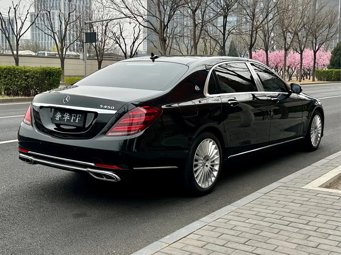 Mercedes-Benz Maybach S-Class 2019 S 450 4MATIC фото 5