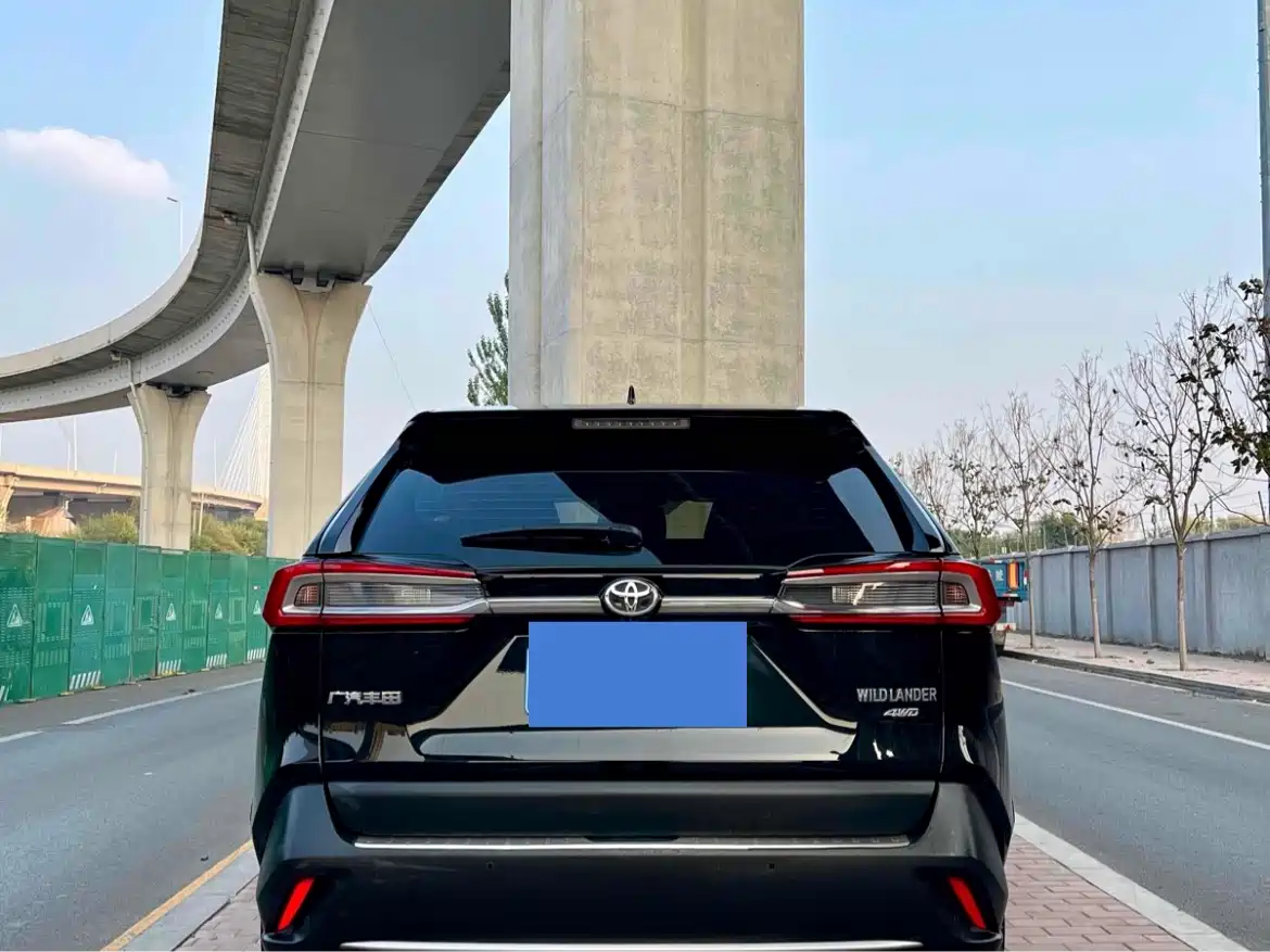 Toyota Wildlander 2020 2.0L CVT 2WD Premium фото 4