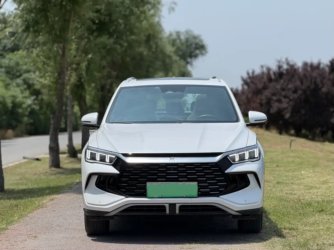 BYD Song Pro New Energy 2024 Glory Edition DM-i 110KM Excellence фото 2