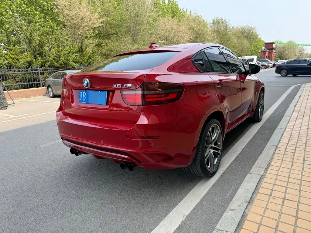 Фото 14 - BMW X6 M