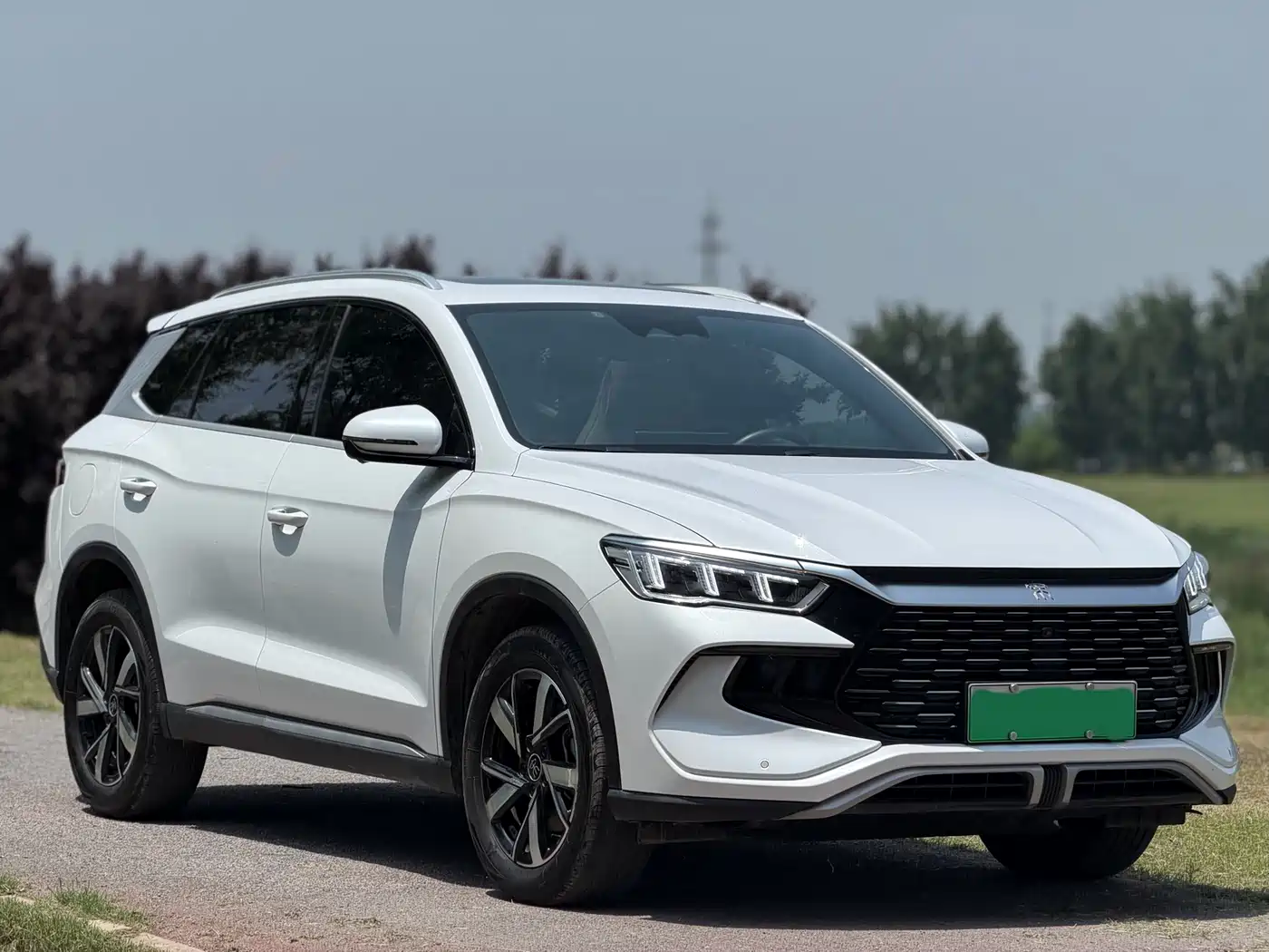 BYD Song Pro New Energy 2024 Glory Edition DM-i 110KM Excellence фото 3