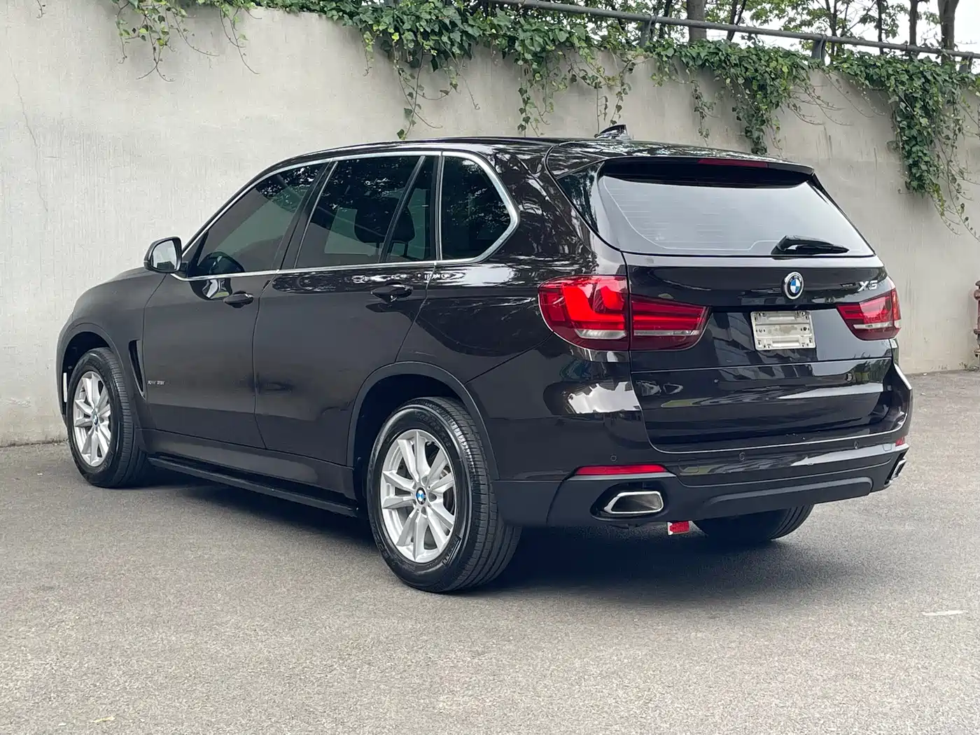 BMW X5 (Import) 2018 xDrive35i Elegant Model фото 5