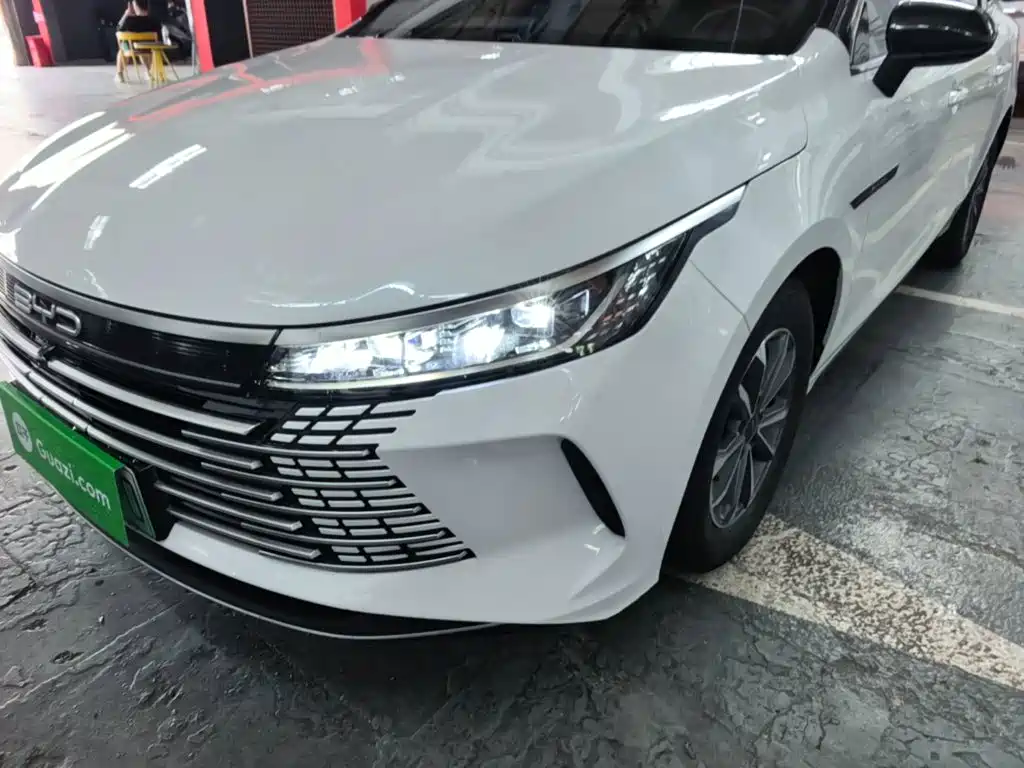 BYD Destroyer 05 2024 2024 Glory Edition DM-i 55KM Luxury