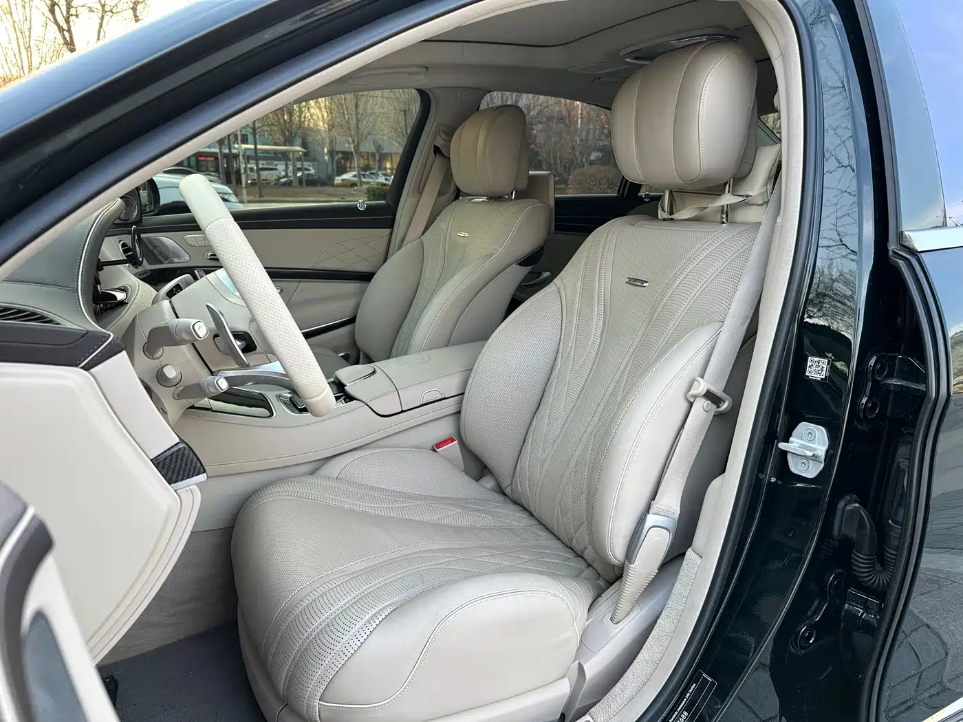 Mercedes-Benz S-Class AMG 2014 AMG S 65 L фото 17