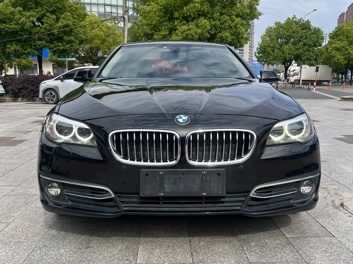 BMW 5 Series 2014 525Li Luxury Design Package фото 2