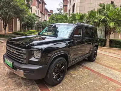 Haval Raptor