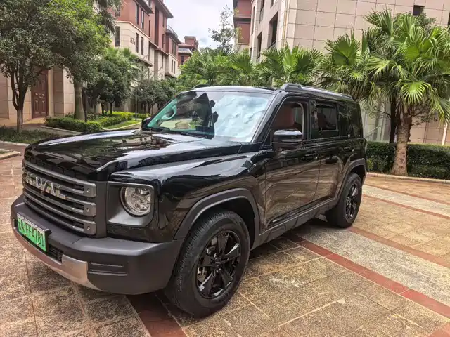  Haval Haval Meng Long NEV 2024 Hi4 145 Cross-country Edition