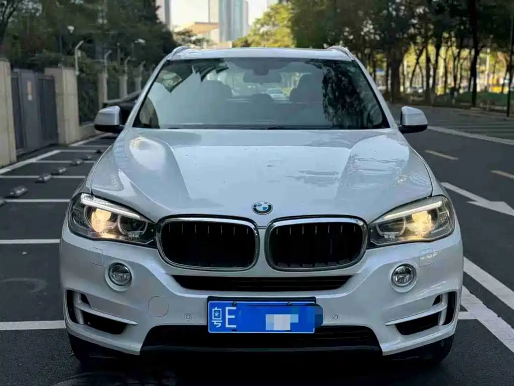 BMW X5 (Import) 2014 xDrive35i Exclusive фото 2